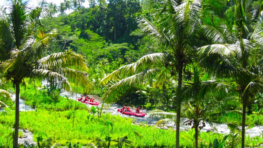 Bali Adventure with White Water Rafting Tour