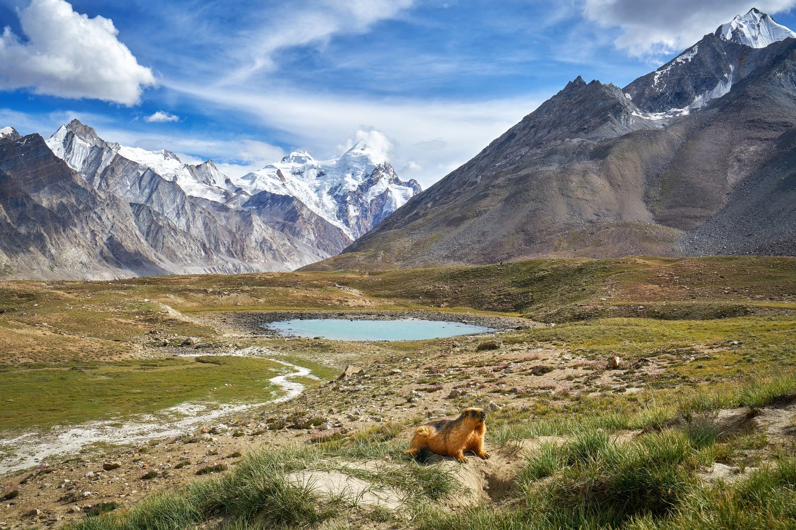 Leh Ladakh with Pangong Lake
